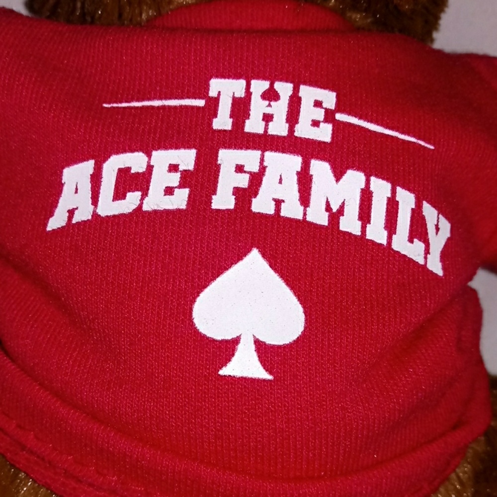 THE ACE FAMILY basketball charity event teddy bear